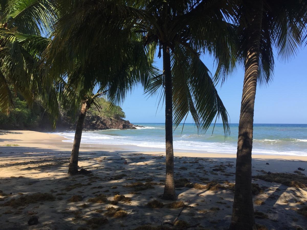 Villa Grand Case Ferry Bagian luar foto